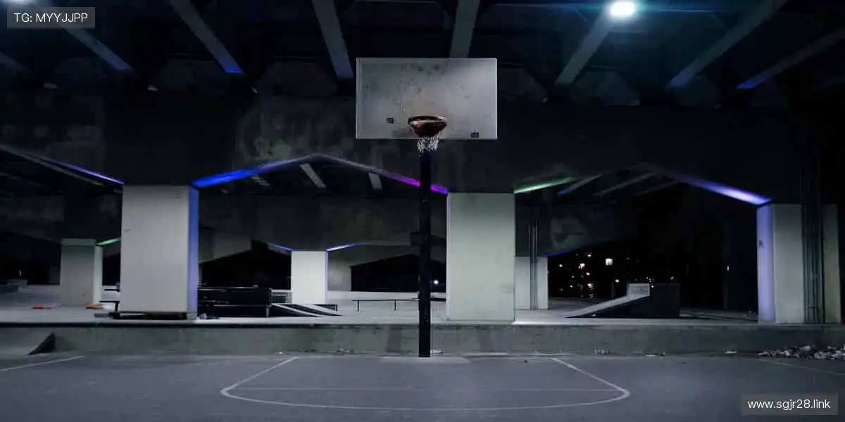 明星云集，热情追看！🌟📺